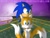 Size: 1000x757 | Tagged: safe, artist:furryskater, miles "tails" prower, sonic the hedgehog, 2009, abstract background, age difference, duo, fence, frown, gay, grass, hugging, hugging from behind, looking ahead, looking offscreen, outdoors, shipping, signature, smile, sonic x tails, standing