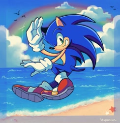 Size: 1999x2048 | Tagged: safe, artist:vesperiian, sonic the hedgehog, bird, hedgehog, beach, cloud, clouds, male, ocean, rainbow, sand, solo, starfish, water
