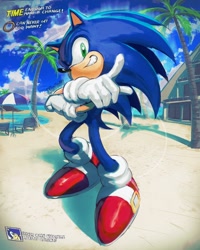Size: 2400x3000 | Tagged: safe, artist:kornart3, sonic the hedgehog, hedgehog, sonic adventure, 2024, arms folded, beach, cloud, clouds, emerald coast, grin, grinning, male, ocean, palm tree, ring, sand, solo, text, umbrella, water