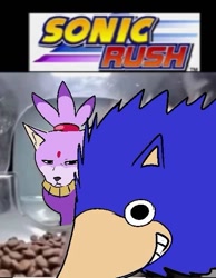 Size: 469x605 | Tagged: safe, artist:93cats, blaze the cat, sonic the hedgehog, 2025, duo, faic, flat colors, frown, looking at viewer, meme, photographic background, smile, sonic rush