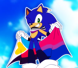 Size: 1542x1344 | Tagged: safe, artist:weirdozjunkary, sonic the hedgehog, 2025, abstract background, ace, asexual, asexual pride, bandana, bisexual, bisexual pride, clouds, flag, holding something, looking at viewer, looking down at viewer, outline, polyamorous, polyamorous pride, pride, pride flag, smile, solo, wink