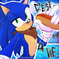 Size: 2000x2000 | Tagged: safe, artist:finalbiohazard, sonic the hedgehog, 2025, abstract background, beach, chili dog, clouds, food, french text, holding something, outline, palm tree, selfie, signature, smile, smiling at viewer, solo, sonic boom (tv), text, water