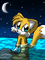 Size: 626x838 | Tagged: safe, artist:arcticcryptid, miles "tails" prower, 2009, abstract background, clenched teeth, crescent moon, cute, gloves off, looking at viewer, looking back, looking back at viewer, moon, nighttime, outdoors, solo, standing, star (sky), tailabetes, water