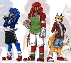 Size: 1056x934 | Tagged: safe, artist:infamouzsky, knuckles the echidna, miles "tails" prower, sonic the hedgehog