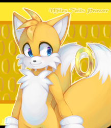 Size: 1999x2290 | Tagged: safe, artist:adalkary399, miles "tails" prower, 2017, abstract background, character name, outline, ring, smile, solo, standing, text