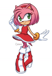 Size: 750x1090 | Tagged: safe, artist:crashappy, amy rose, hedgehog, amybetes, clothes, cute, dress, female, happy, looking at viewer, skirt, solo