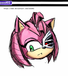 Size: 900x1001 | Tagged: safe, artist:zeed_02, amy rose, 2024, frown, head only, looking at viewer, rusty rose, simple background, sketch, solo, white background