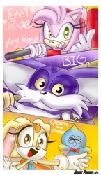 Size: 1080x1863 | Tagged: safe, artist:nonicpower, amy rose, big the cat, cheese (chao), cream the rabbit, chao, 2025, border, character name, english text, eyes closed, group, looking at viewer, neutral chao, signature, smile, smiling at viewer, team rose, text