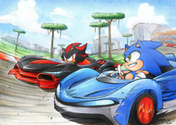 Size: 1024x728 | Tagged: safe, artist:finikart, shadow the hedgehog, sonic the hedgehog, 2019, car, clenched teeth, clouds, daytime, driving, duo, frown, grass, looking at each other, outdoors, pointing, racetrack, racing, smile, steering wheel, team sonic racing, tree