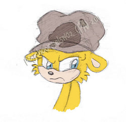 Size: 400x389 | Tagged: safe, artist:psychoangel51402, 2011, bust, cap, frown, hat, looking back, looking offscreen, simple background, solo, white background, wombat stu
