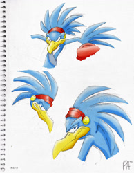Size: 900x1157 | Tagged: safe, artist:psychoangel51402, bird, 2011, predator hawk, simple background, solo, traditional media, white background
