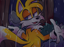 Size: 800x595 | Tagged: safe, artist:cakeb00, miles "tails" prower, 2023, abstract background, looking back, mouth open, open smile, outdoors, rain, redraw, rock, shrugging, smile, solo, standing, there's something about amy, tree