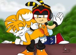 Size: 1400x1000 | Tagged: safe, artist:fannythepaddle, charmy bee, miles "tails" prower, 2017, abstract background, branch, bush, butt, crying, duo, pants, pants down, sitting, smile, spank mark, spanking, tears, tears of pain, underpants, underwear