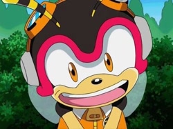 Size: 512x383 | Tagged: safe, charmy bee, bee, charmabetes, cute, happy, looking at viewer, male, screencap, solo, sonic x