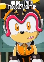 Size: 427x600 | Tagged: safe, charmy bee, bee, caption, confused, edit, edited screencap, english text, looking at viewer, male, meme, screencap, solo, sonic x, text, worried
