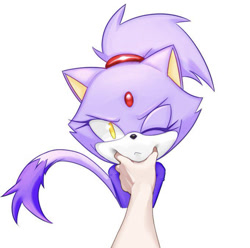 Size: 750x745 | Tagged: safe, artist:pincubepi, blaze the cat, cat, human, annoyed, blazebetes, cute, male, one eye closed, petting, pov, squishy cheeks
