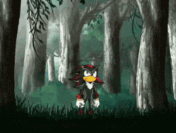 Size: 373x281 | Tagged: safe, chris thorndyke, shadow the hedgehog, hedgehog, human, animated, chaos control, chaos emerald, forest, hug, male, running, sonic x, teleportation