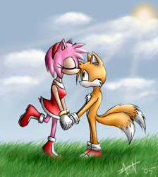 Size: 647x723 | Tagged: safe, artist:arissadoll, amy rose, miles "tails" prower, 2005, abstract background, blushing, clouds, daytime, duo, eyes closed, grass, holding hands, kiss, kiss on head, looking at them, mouth open, outdoors, shipping, signature, standing, straight, tailamy