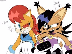 Size: 4000x3000 | Tagged: safe, artist:fartist2020, nicole the hololynx, sally acorn, dialogue, duo, english text, flat colors, nudging, simple background, text, white background