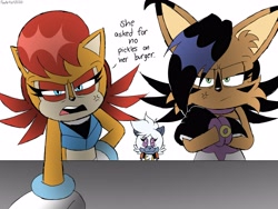 Size: 4000x3000 | Tagged: safe, artist:fartist2020, nicole the hololynx, sally acorn, tangle the lemur, cross popping vein, dialogue, he asked for no pickles, meme, text, this won't end well, trio