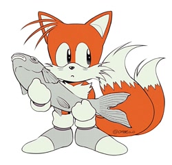 Size: 1112x1071 | Tagged: source needed, safe, artist:ombeo_o, miles "tails" prower, 2025, :o, classic sonic, cute, fish, grey shoes, holding something, literal animal, mouth open, signature, simple background, solo, standing, tailabetes, white background