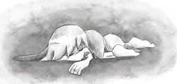 Size: 2048x973 | Tagged: safe, artist:squorkalart, kit the fennec, 2025, barefoot, eyes closed, gradient background, greyscale, lying down, lying on front, monochrome, sleeping, solo
