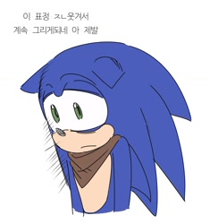 Size: 1248x1329 | Tagged: safe, artist:guitar_00000001, sonic the hedgehog, 2025, korean text, simple background, solo, sonic boom (tv), white background