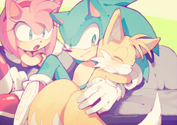 Size: 800x566 | Tagged: safe, artist:aoki6311, artist:fumomo, amy rose, miles "tails" prower, sonic the hedgehog, 2013, hugging, mouth open, sitting, smile, trio