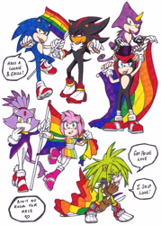 Size: 2365x3301 | Tagged: safe, artist:dawnhedgehog555, amy rose, blaze the cat, espio the chameleon, mighty the armadillo, shadow the hedgehog, sonic the hedgehog, 2016, amy x blaze, cookie, cookie in mouth, dialogue, english text, food, gay, gay pride, group, heart, holding something, lesbian, looking at viewer, manic the hedgehog, mightio, on head, pride, pride flag, shadow x sonic, shipping, simple background, smile, standing, talking, talking to viewer, text, traditional media