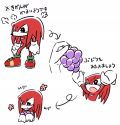 Size: 1966x2048 | Tagged: safe, artist:oudooooon427, knuckles the echidna, 2025, cute, eating, food, grapes, holding something, japanese text, knucklebetes, mouth open, simple background, solo, white background