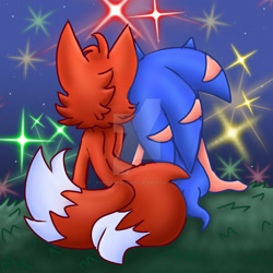Size: 1024x1024 | Tagged: safe, artist:crazygreenfluff, miles "tails" prower, sonic the hedgehog, 2021, abstract background, aged up, back view, deviantart watermark, duo, fireworks, from behind, fur markings, gay, grass, nighttime, obtrusive watermark, outdoors, shipping, sitting, sonic x tails, star (sky), watermark