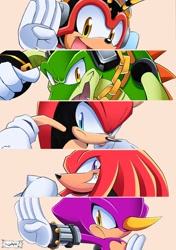 Size: 1438x2048 | Tagged: safe, artist:nickhx, charmy bee, espio the chameleon, knuckles the echidna, mighty the armadillo, vector the crocodile, knuckles chaotix, 2026, frown, group, looking at viewer, looking offscreen, simple background, smile, team chaotix