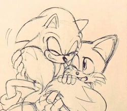 Size: 590x520 | Tagged: safe, artist:clearmoonbasement, miles "tails" prower, sonic the hedgehog, 2023, age difference, blushing, cute, duo, eyes closed, gay, line art, monochrome, one eye closed, shipping, sitting, smile, sonic x tails, tail hug, traditional media, wrapped in tail, wrapped in tails