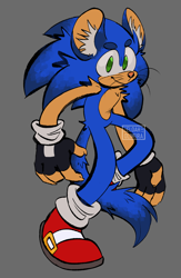 Size: 1144x1754 | Tagged: safe, artist:eloaholiveira, sonic the hedgehog, 2022, beanbrows, chinchilla, ear fluff, fingerless gloves, gloves, grey background, looking at viewer, pink nose, shoes, simple background, smile, smiling at viewer, solo, species swap, tail fluff, whiskers