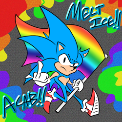 Size: 1600x1600 | Tagged: safe, artist:w1ll-0f-the-w1nd, sonic the hedgehog, 2026, acab, flag, flat colors, frown, holding something, looking at viewer, middle finger, positivity, pride, solo
