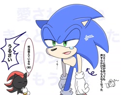 Size: 1553x1224 | Tagged: safe, artist:asune_snare, shadow the hedgehog, sonic the hedgehog, 2025, arrow, duo, japanese text, lidded eyes, simple background, speech bubble, standing, tears, white background