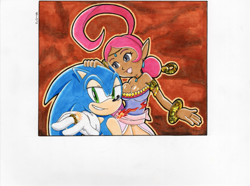 Size: 767x570 | Tagged: safe, artist:misshiirin, shahra, sonic the hedgehog, duo, fire, flame, outline, sonic and the secret rings