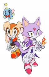 Size: 1293x2048 | Tagged: safe, artist:blake7587292440, blaze the cat, cheese (chao), cream the rabbit, chao, 2025, fire, flame, flat colors, frown, gender swap, looking at viewer, neutral chao, simple background, smile, standing, trio, white background
