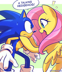 Size: 2048x2344 | Tagged: safe, artist:siggiedraws, sonic the hedgehog, 2026, crossover, dialogue, duo, english text, fluttershy, frown, looking at each other, my little pony, pegasus, pony, smile, speech bubble, sweatdrop, talking, text
