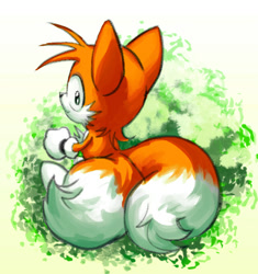 Size: 710x754 | Tagged: safe, artist:crabmeat214, miles "tails" prower, 2017, classic tails, looking at viewer, looking back, looking back at viewer, smile, solo, standing