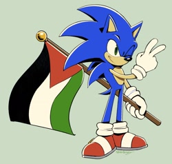 Size: 1750x1667 | Tagged: safe, artist:ls1389, sonic the hedgehog, hedgehog, 2024, backwards v sign, country flag, flag, free palestine, grey background, holding something, looking offscreen, male, palestine flag, simple background, smile, solo, standing, v sign, wink