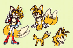 Size: 1388x915 | Tagged: safe, artist:prowerprojects, miles "tails" prower, 2023, aged up, animalified, boots, eyelashes, fur markings, grey background, jacket, literal animal, nonbinary, nonbinary tails, simple background, sketch, sketch page, solo, solo nonbinary