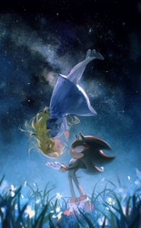 Size: 1272x2048 | Tagged: safe, artist:waaii132299, maria robotnik, shadow the hedgehog, human, 2024, duo, eyes closed, grass, looking at them, mouth open, nighttime, outdoors, smile, speedpaint available, standing, star (sky), upside down