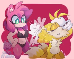 Size: 1500x1200 | Tagged: safe, artist:mickytubby, amy rose, miles "tails" prower