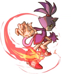 Size: 1149x1195 | Tagged: safe, artist:dochisukiovo, blaze the cat