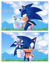 Size: 1638x2048 | Tagged: safe, artist:hikariviny, sonic the hedgehog, flower