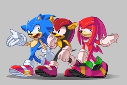 Size: 1952x1301 | Tagged: dead source, safe, artist:cherikyuari, knuckles the echidna, mighty the armadillo, sonic the hedgehog, frown, grey background, looking at each other, looking away, simple background, smile, standing, talking, trio, walking
