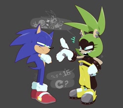 Size: 900x790 | Tagged: safe, artist:irregularcloudi, sonic the hedgehog, surge the tenrec, duo