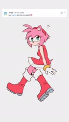 Size: 1080x1920 | Tagged: safe, artist:spinnyhog, amy rose