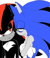 Size: 436x505 | Tagged: safe, artist:guitar_00000001, shadow the hedgehog, sonic the hedgehog, 2025, arms folded, duo, lidded eyes, looking at each other, simple background, white background
